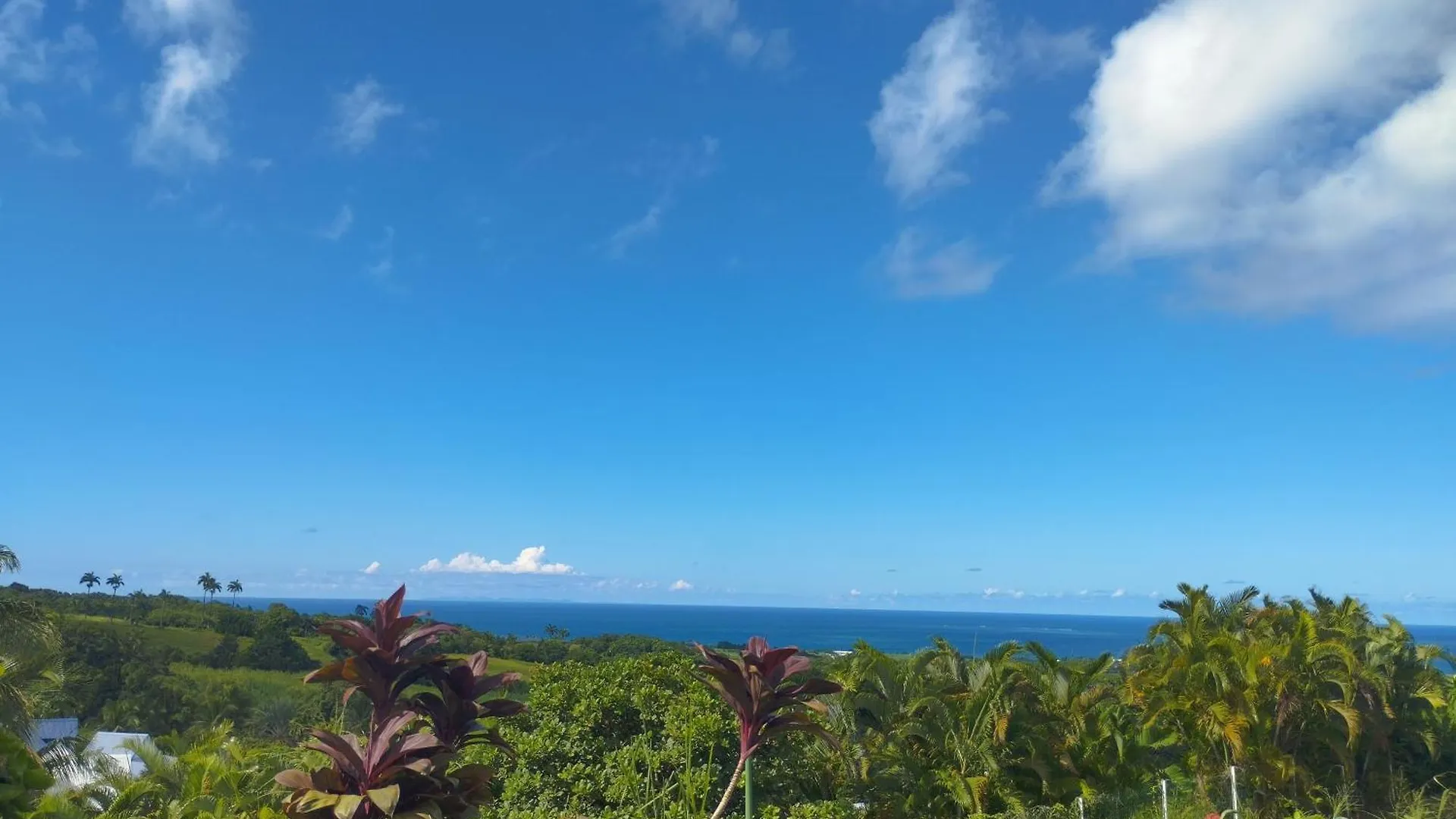 Villa Songe Caribeen, Piscine Privee Vue Mer, Proche Plages Sainte-Rose Guadeloupe
